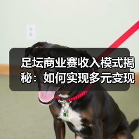 足坛商业赛收入模式揭秘:如何实现多元变现与黄金策略?(图2) 足坛商业赛收入模式揭秘:如何实现多元变现与黄金策略?(图2)