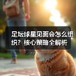 足坛球星见面会怎么组织?核心策略全解析(图1) 足坛球星见面会怎么组织?核心策略全解析(图1)