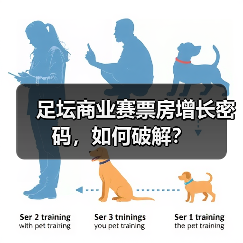 足坛商业赛票房增长密码,如何破解?(图3) 足坛商业赛票房增长密码,如何破解?(图3)