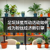 足坛球星互动活动如何成为粉丝经济新引擎(图1) 足坛球星互动活动如何成为粉丝经济新引擎(图1)