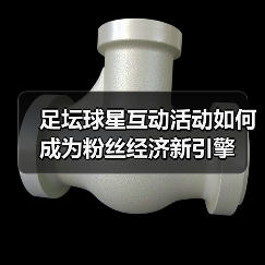 足坛球星互动活动如何成为粉丝经济新引擎(图4) 足坛球星互动活动如何成为粉丝经济新引擎(图4)