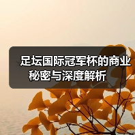 足坛国际冠军杯的商业秘密与深度解析(图4) 足坛国际冠军杯的商业秘密与深度解析(图4)