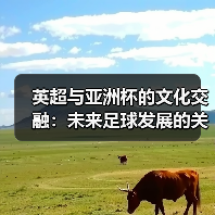英超与亚洲杯的文化交融:未来足球发展的关键机遇(图2) 英超与亚洲杯的文化交融:未来足球发展的关键机遇(图2)