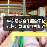 中东足球合作掘金千亿市场:战略合作新机遇(图1) 中东足球合作掘金千亿市场:战略合作新机遇(图1)