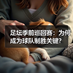 足坛季前巡回赛：为何成为球队制胜关键？（图3）