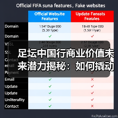 足坛中国行商业价值未来潜力揭秘:如何撬动百亿市场?(图2) 足坛中国行商业价值未来潜力揭秘:如何撬动百亿市场?(图2)