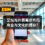 足坛海外赛幕后布局:商业与文化的博弈?(图4) 足坛海外赛幕后布局:商业与文化的博弈?(图4)