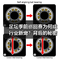 足坛季前巡回赛为何成行业新宠?背后的秘密(图4) 足坛季前巡回赛为何成行业新宠?背后的秘密(图4)