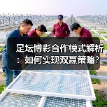 足坛博彩合作模式解析:如何实现双赢策略?(图1) 足坛博彩合作模式解析:如何实现双赢策略?(图1)