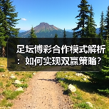 足坛博彩合作模式解析:如何实现双赢策略?(图4) 足坛博彩合作模式解析:如何实现双赢策略?(图4)
