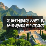 足坛打假球怎么破?揭秘潜规则背后的实战方案(图2) 足坛打假球怎么破?揭秘潜规则背后的实战方案(图2)