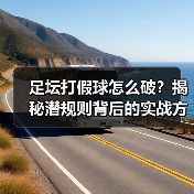 足坛打假球怎么破?揭秘潜规则背后的实战方案(图3) 足坛打假球怎么破?揭秘潜规则背后的实战方案(图3)