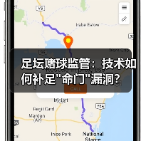 足坛赌球监管:技术如何补足 足坛赌球监管:技术如何补足