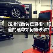 足坛假赛调查真相:暗藏的黑幕如何被破解?(图2) 足坛假赛调查真相:暗藏的黑幕如何被破解?(图2)