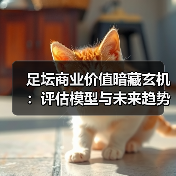 足坛商业价值暗藏玄机:评估模型与未来趋势揭秘(图4) 足坛商业价值暗藏玄机:评估模型与未来趋势揭秘(图4)