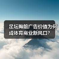 足坛胸前广告价值为何成体育商业新风口?(图1) 足坛胸前广告价值为何成体育商业新风口?(图1)