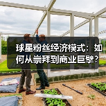 球星粉丝经济模式:如何从崇拜到商业巨擘?深度解析核心逻辑(图3) 球星粉丝经济模式:如何从崇拜到商业巨擘?深度解析核心逻辑(图3)