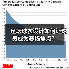 足坛球衣设计如何让球员成为赛场焦点?(图4) 足坛球衣设计如何让球员成为赛场焦点?(图4)
