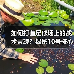 如何打造足球场上的战术灵魂?揭秘10号核心的养成秘诀(图3) 如何打造足球场上的战术灵魂?揭秘10号核心的养成秘诀(图3)