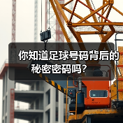 你知道足球号码背后的秘密密码吗?(图3) 你知道足球号码背后的秘密密码吗?(图3)